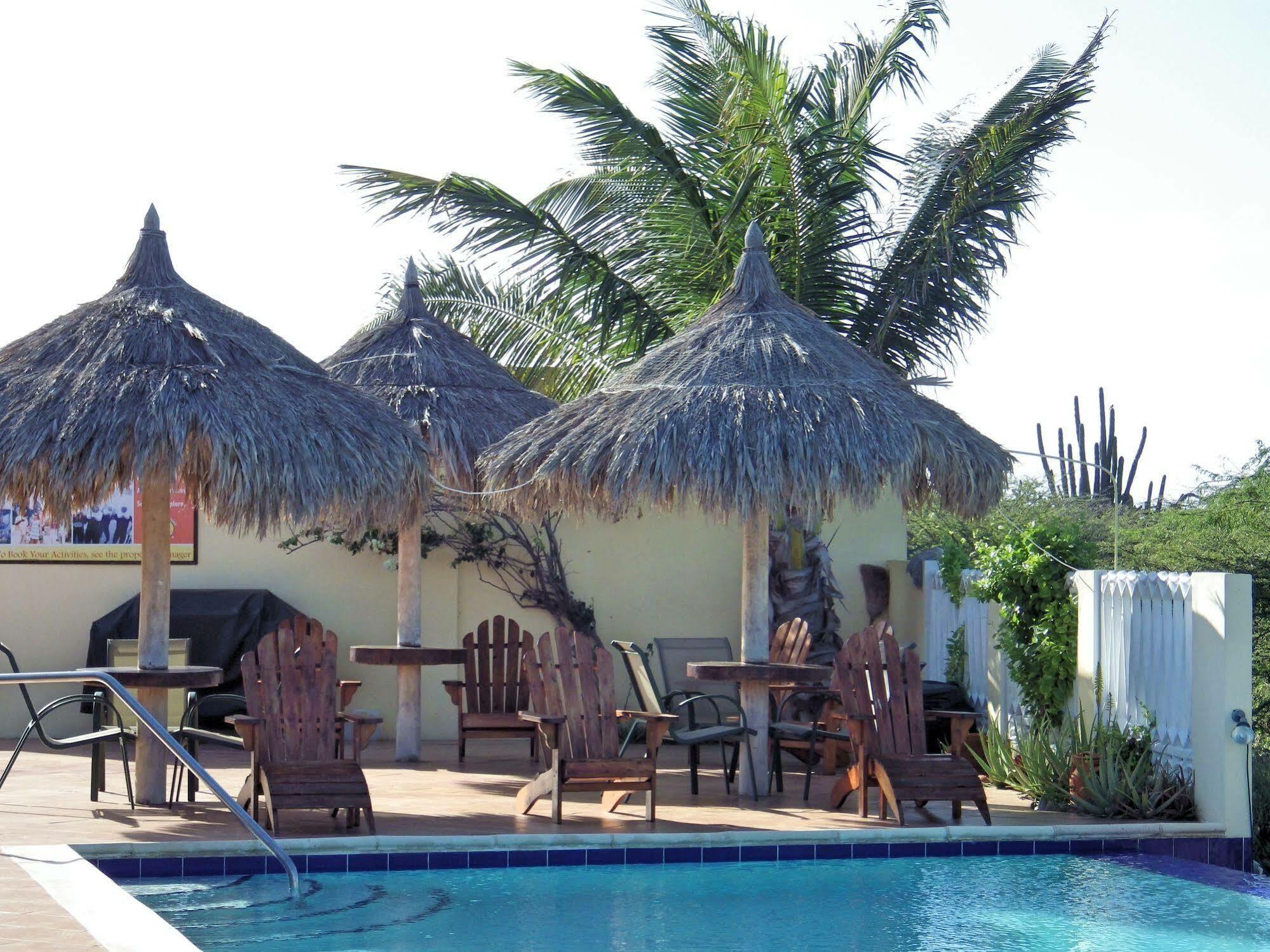 Aruba Cunucu Palm Beach