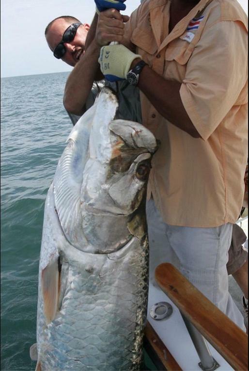 Hostel Fish Tobago *
