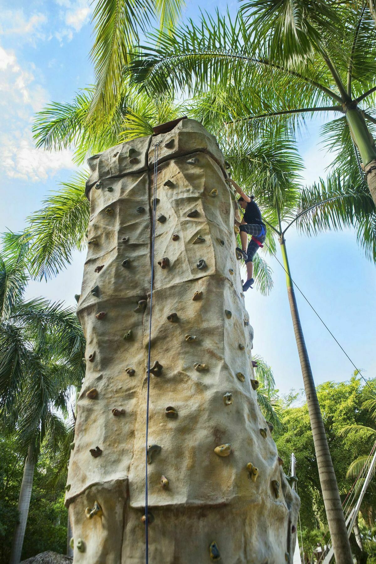 Resort Royal Service At Paradisus Punta Cana (adults Only)
