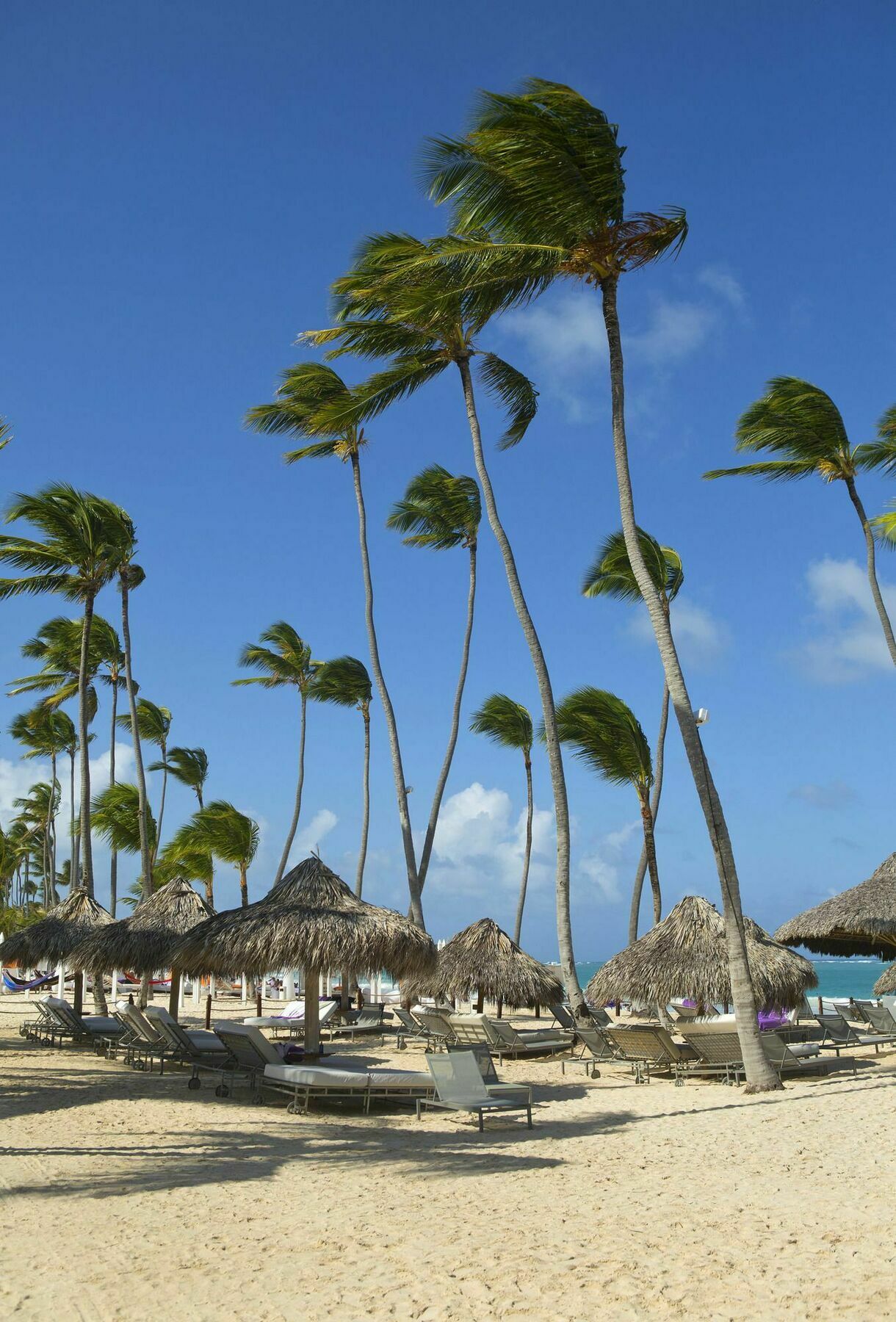 Resort Royal Service At Paradisus Punta Cana (adults Only) Bavaro
