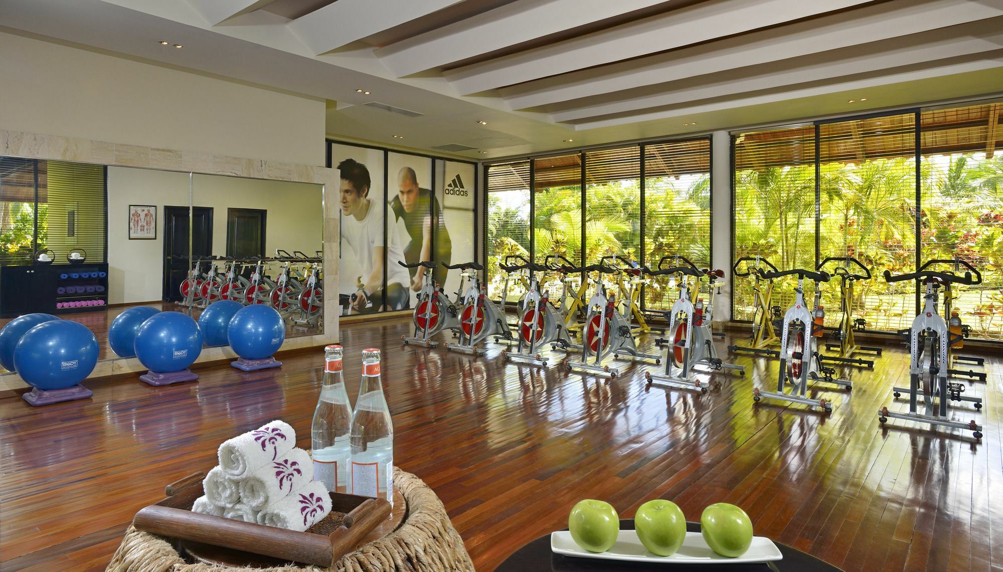 Royal Service At Paradisus Punta Cana (adults Only) Bavaro
