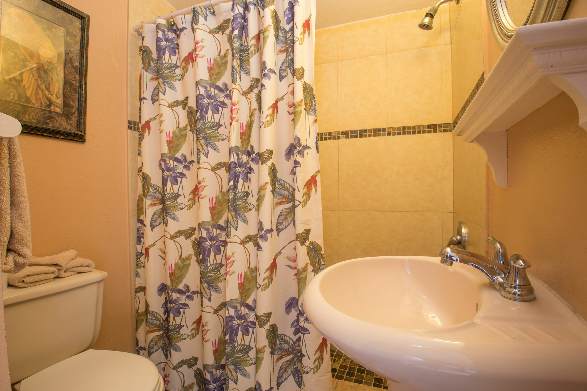 Hotel Lazy Parrot Rincon