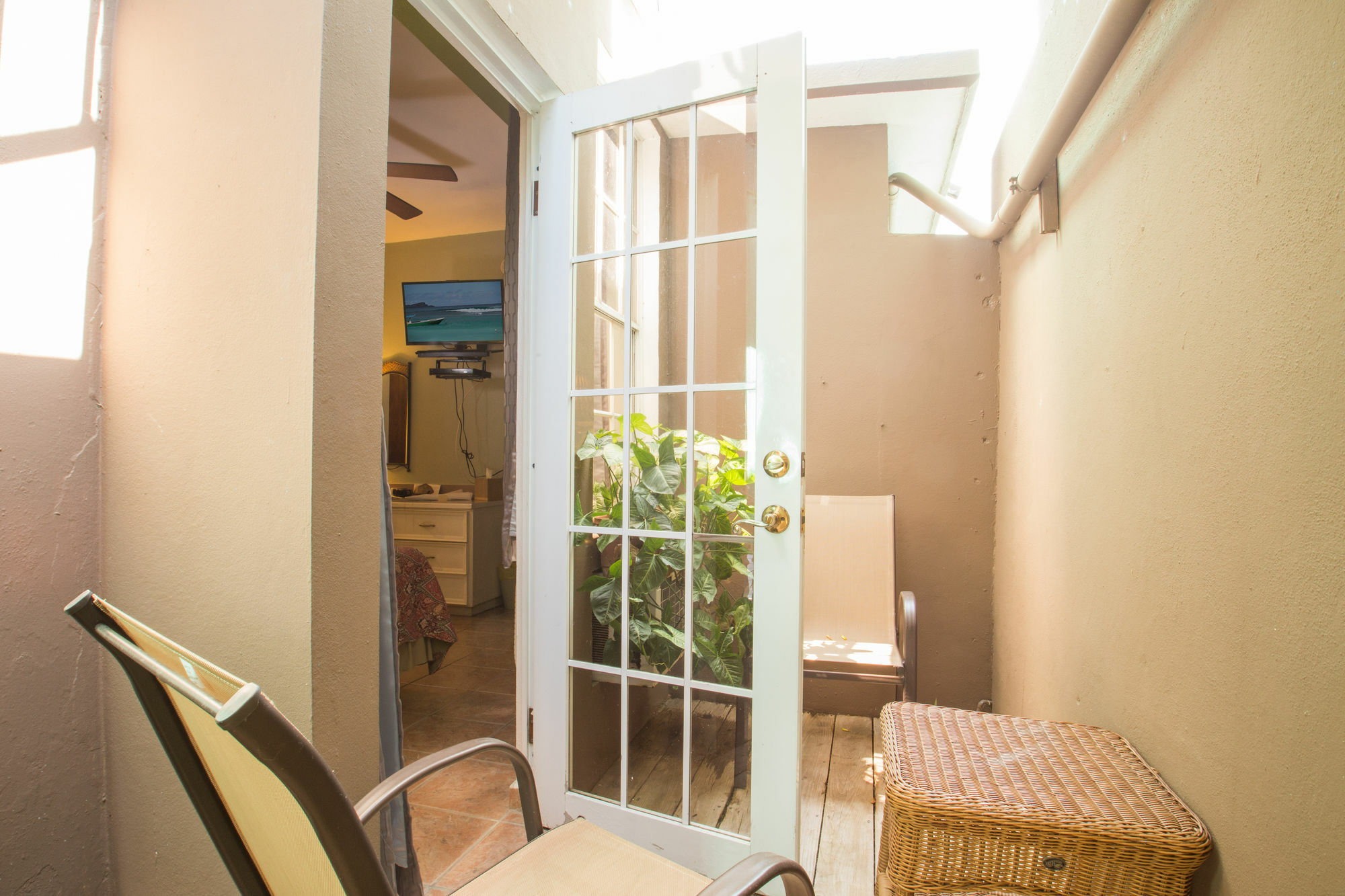 Lazy Parrot Hotel Rincon