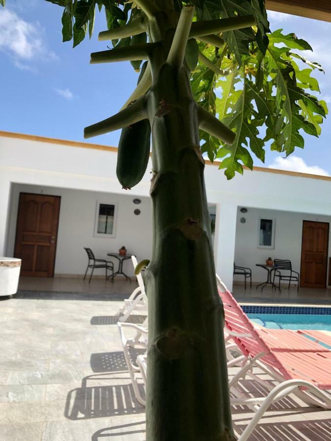 Apartamento Puchis Place