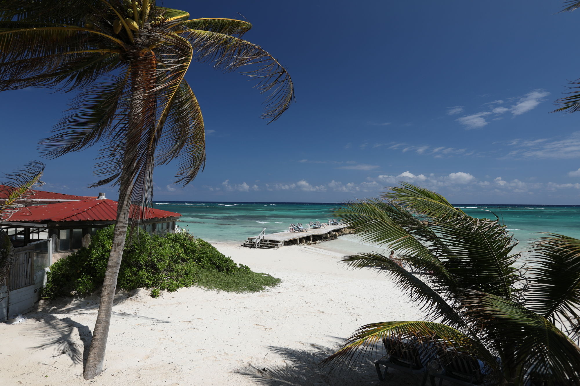 Hotel Mangos Jamaica Adults Only 3*