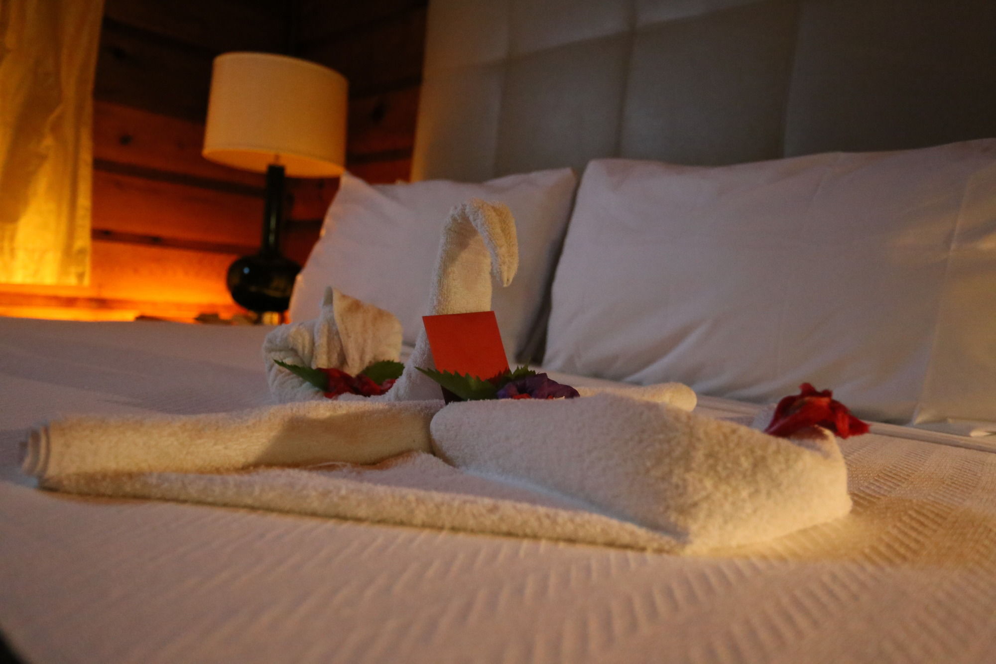 Hotel Mangos Jamaica Adults Only