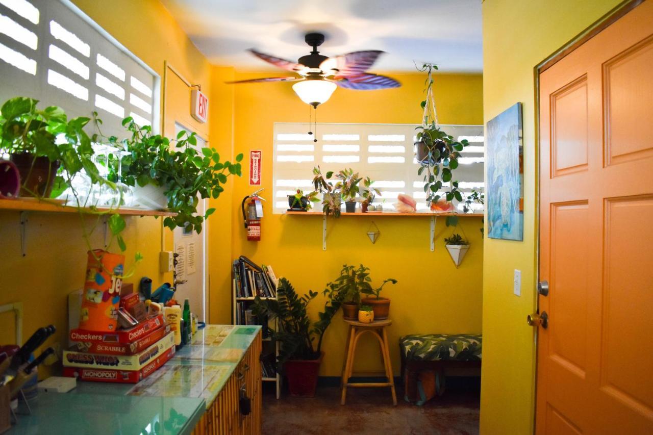Flamboyan 3* Vieques