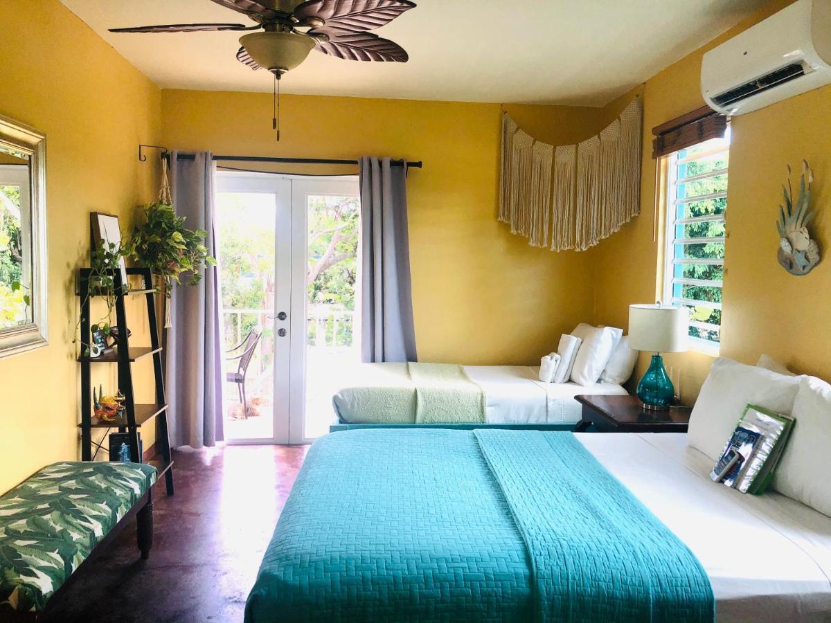 Flamboyan 3* Vieques