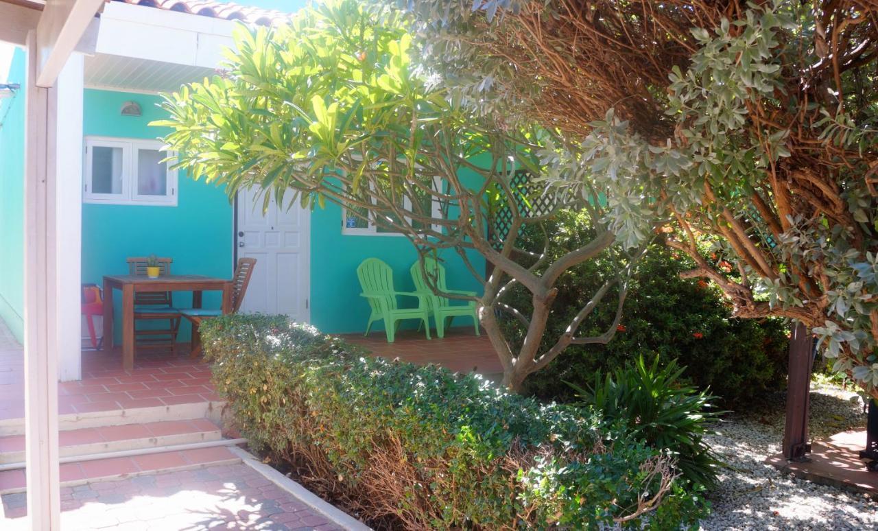 Aruba Palms Escape Suites * Palm Beach