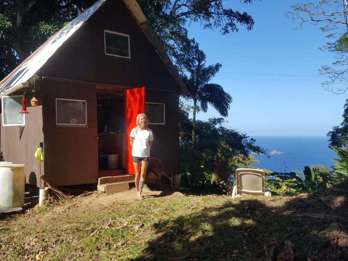 Campsite Tony's Offgrid Cabin Getaway Scarborough