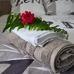 Le Plaisir Du Manganao