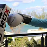 Vida Cayman Luxury Boutique Eco Hotel