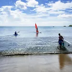 Starfish Tobago