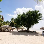 Le Ti\' Paradis Tropical, Anse Des Rochers Vue Mer Studio25M2