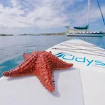 Green Turtle Club Resort & Marina