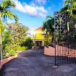 Ackee Tree Sea View Villa