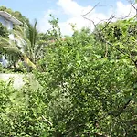 Caribbean Villas
