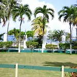 Beach Studio 10