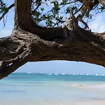 Ti Figues - Gite Colombo