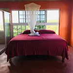 Welcoming Vibes