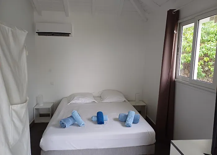 B. O. Paradis Sxm