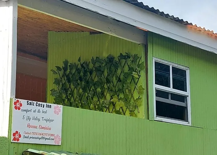 Salz Cozy Inn