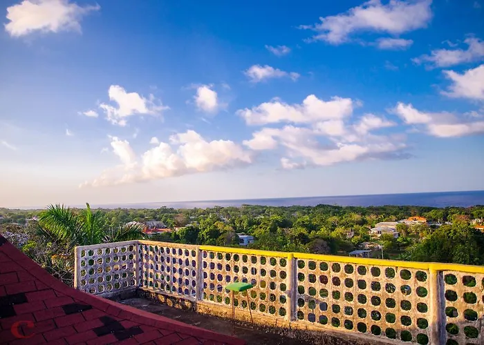 Ackee Tree Sea View Villa