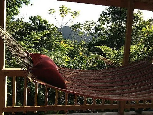 Roots Jungle Retreat