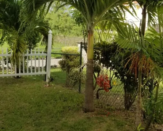 Cynson Villa Holiday Accommodations