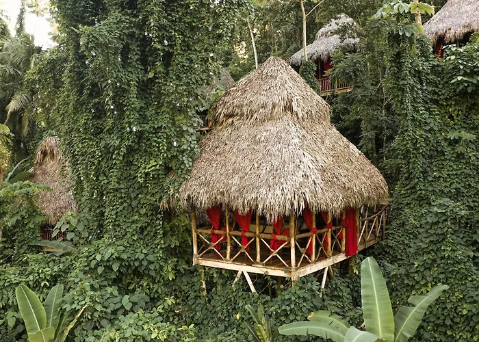 Dominican Tree House Village