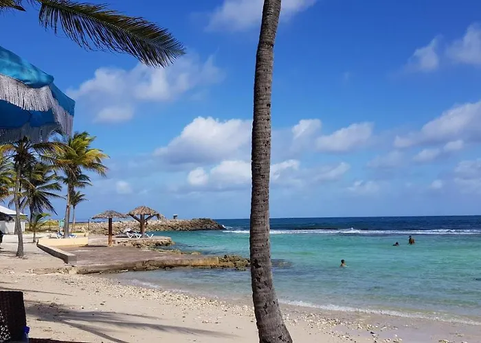 Paradisiac Lagoon