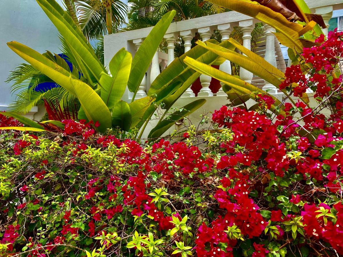 Hotel At Wind Chimes Boutique San Juan
