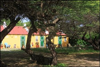 Hotel Daniel - Plantation House 3*