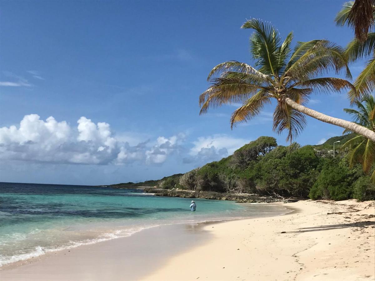 Location Lagon Marie-galante * Capesterre