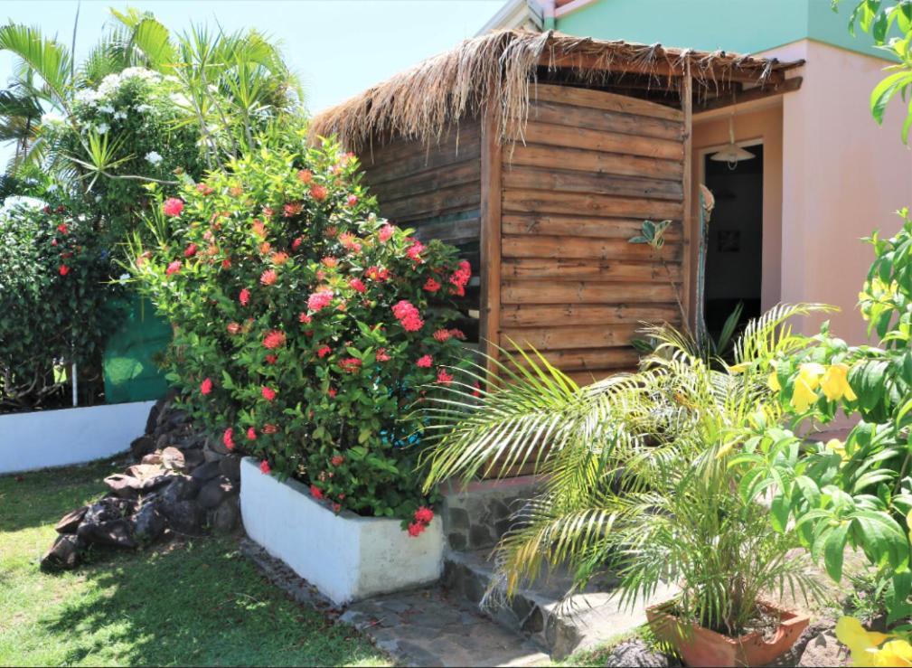 Complexe La Providencia - Villa, Duplex, Studio, Jacuzzi * Le Diamant
