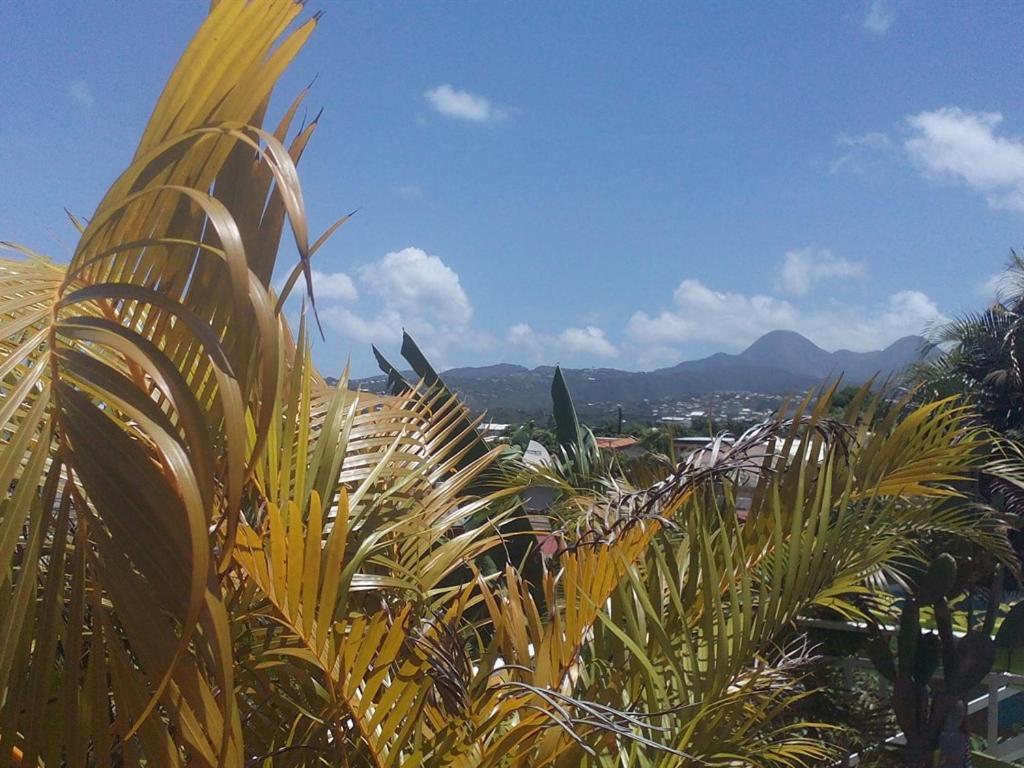 Eden Rock Guest house 3*