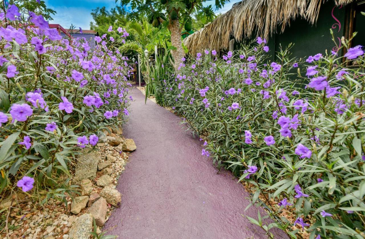 Mammaloe Bed & Breakfast