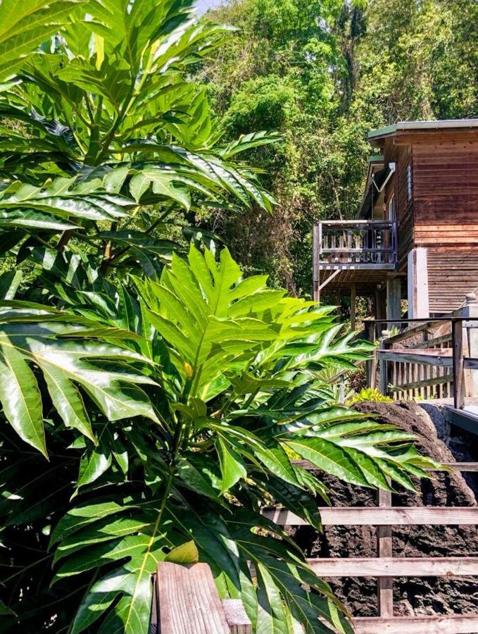 Le Bougainvillier Blanc Holiday park