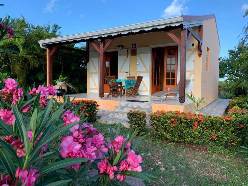 Les Palmes Du Moulin Holiday home *