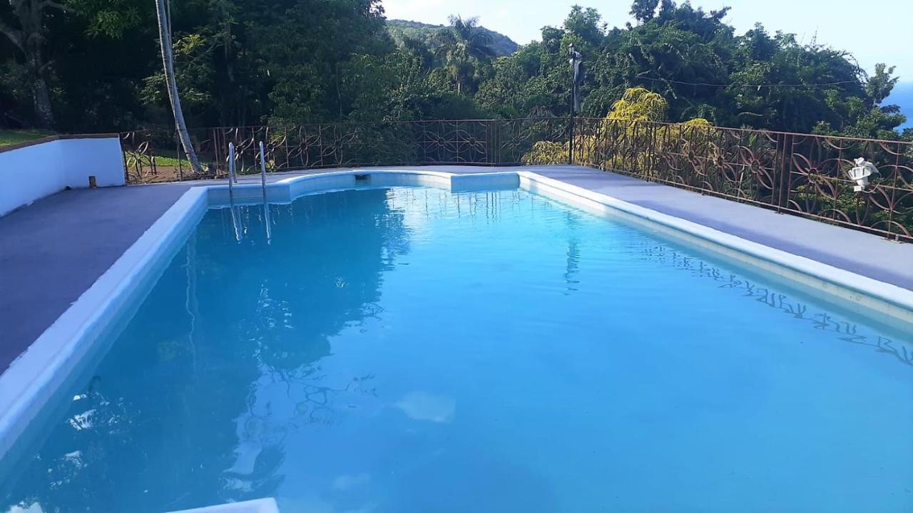 Dianna - Entire Villa, Roof Terrace, Pool, Garden, Sea Views Near Dunn's River Ocho Rios