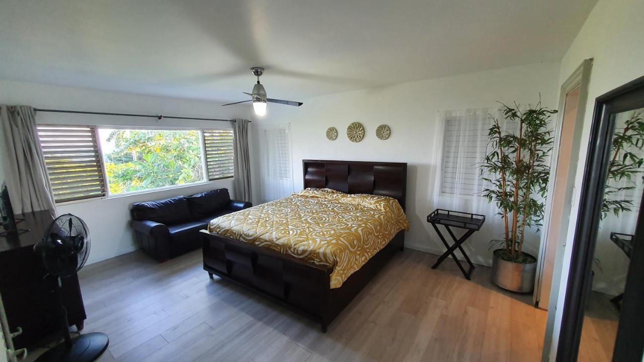 Villa Dianna - Entire Villa, Roof Terrace, Pool, Garden, Sea Views Near Dunn's River Ocho Rios
