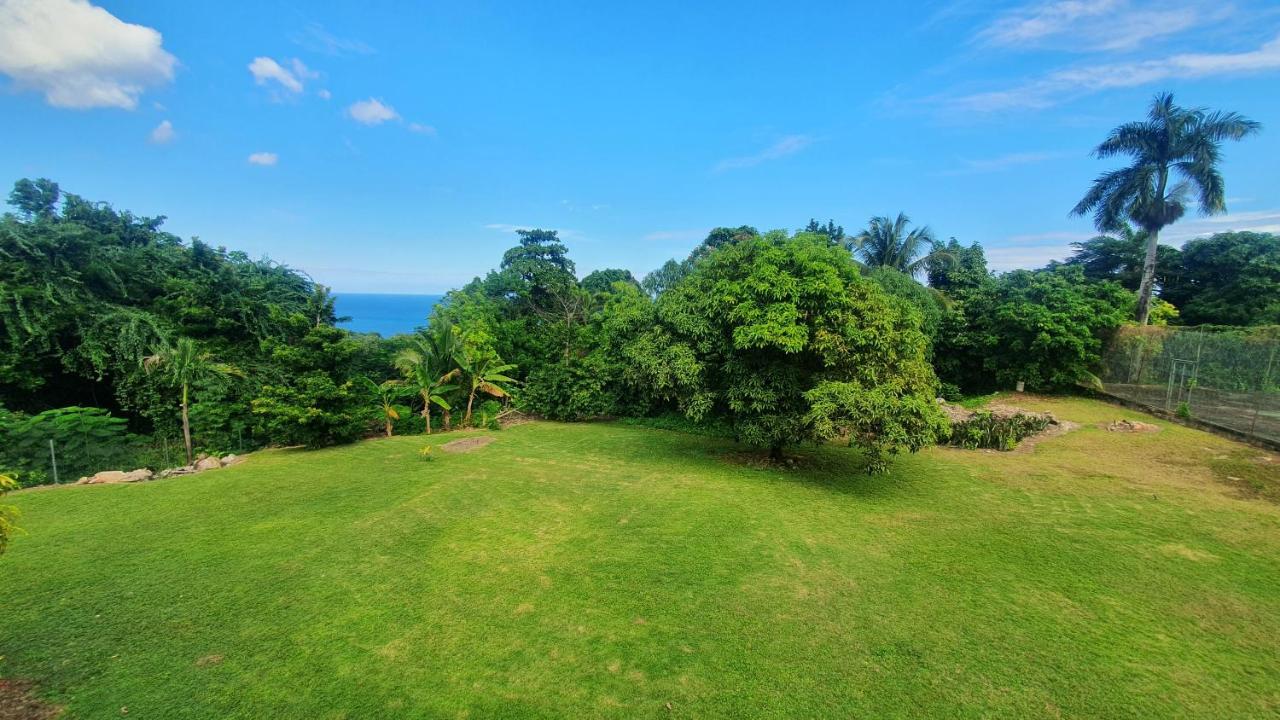 Dianna - Entire Villa, Roof Terrace, Pool, Garden, Sea Views Near Dunn's River * Ocho Rios