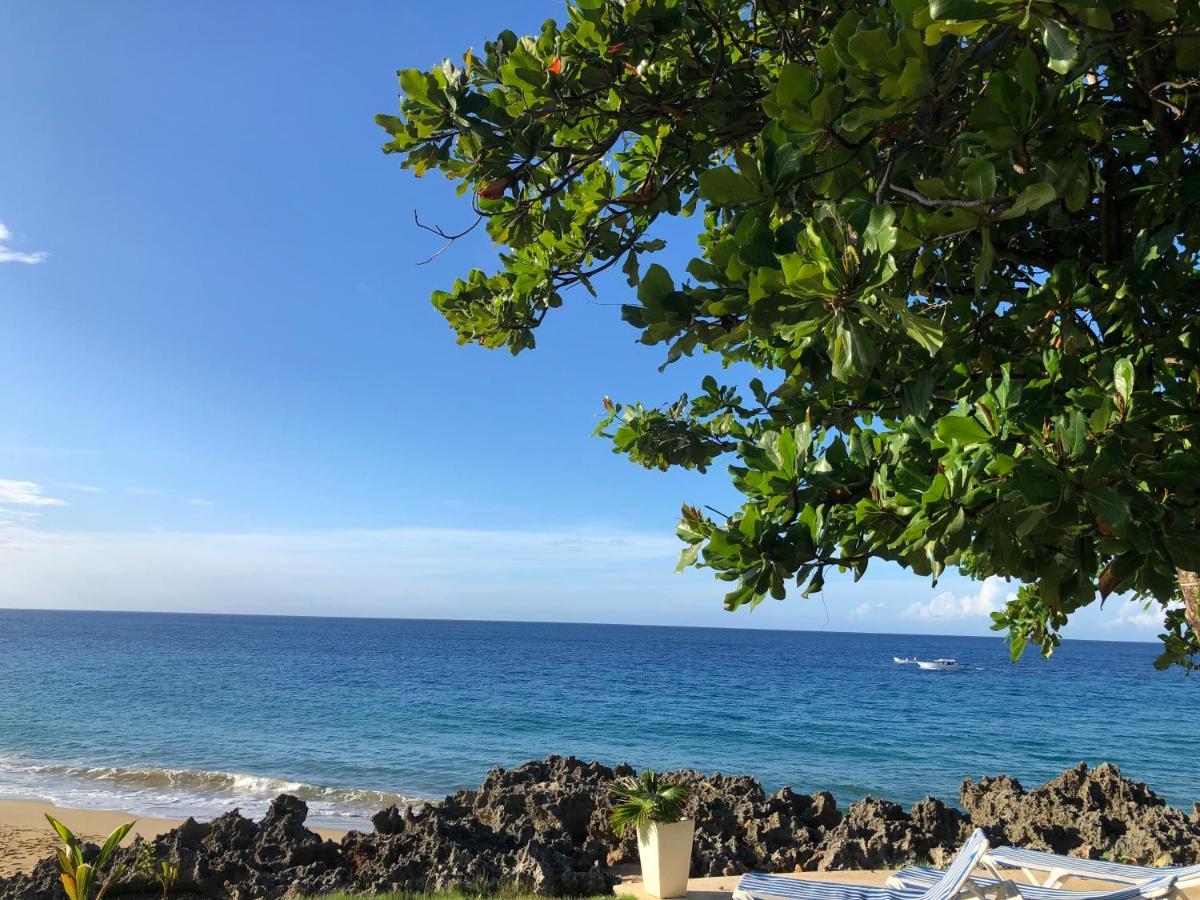 Vacations In The Caribbean Paradise Apartment Sosua