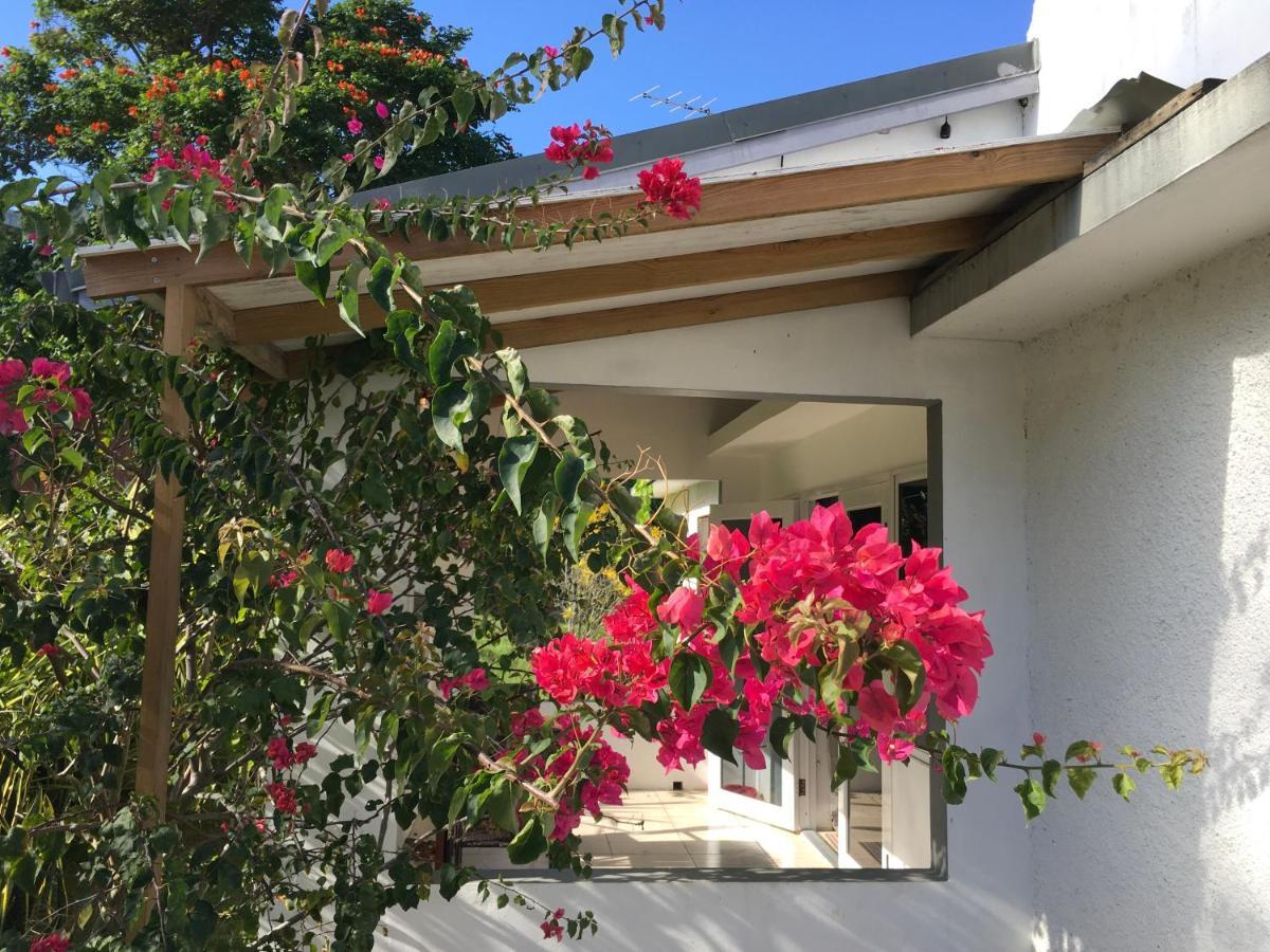 Apartment Garden Apartment-Beach-5Min Drive, 1 Hr Montego Bay, 25 Mins Ocho Rios, Welcome Breakfast Basket *