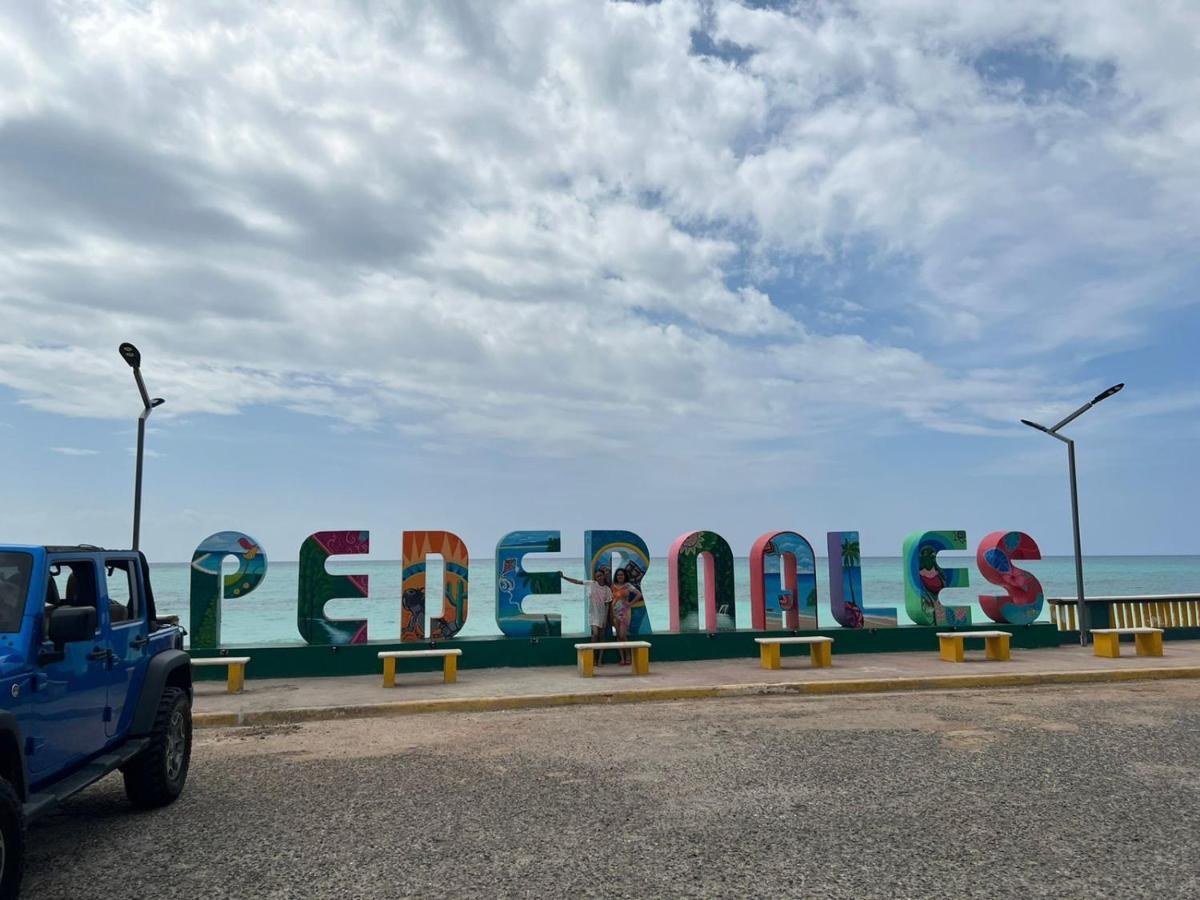 Residencial Sfa * Pedernales
