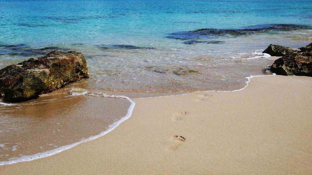 Sand Castle On The Beach - Adults Only Frederiksted