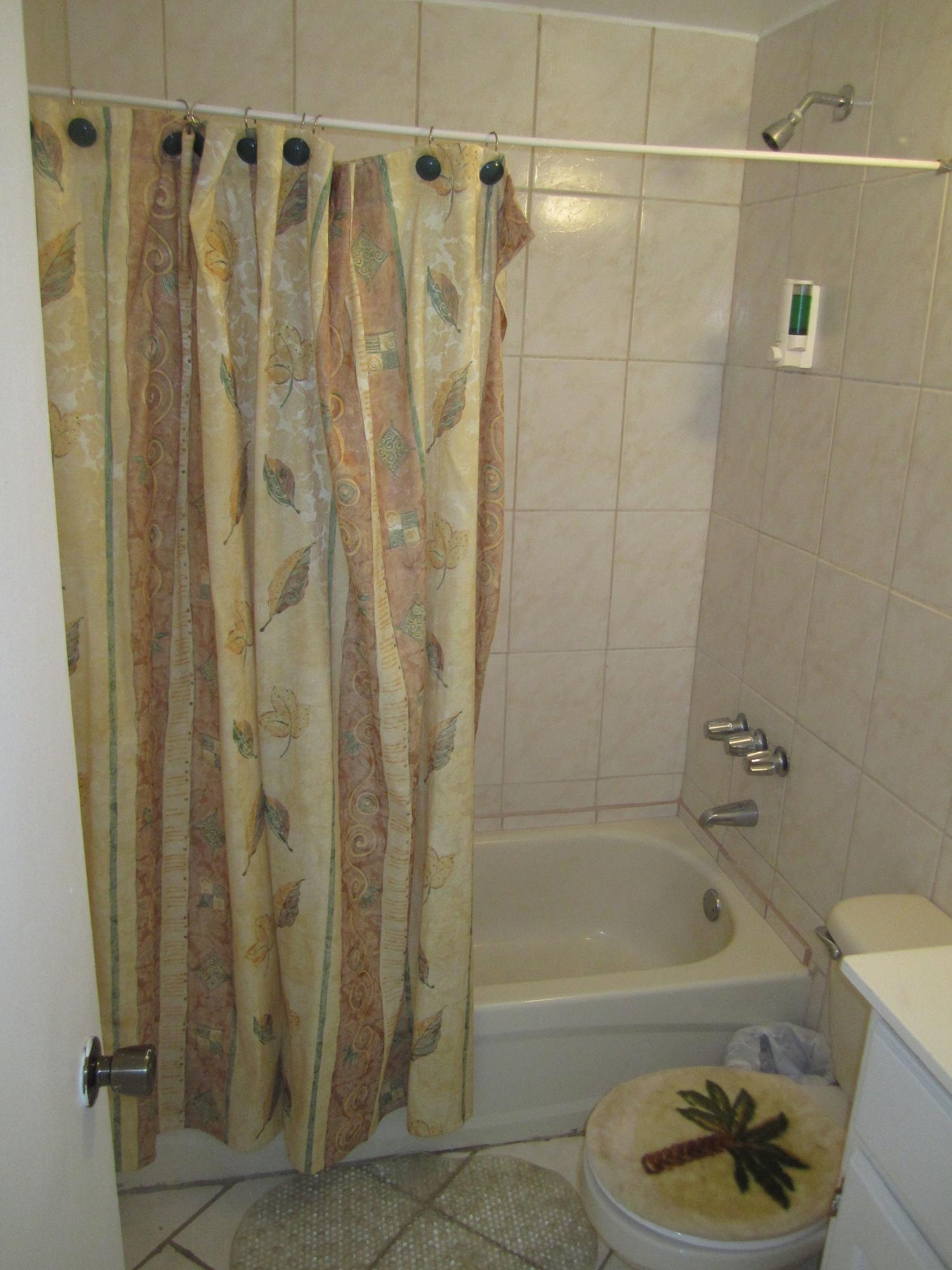 The Downtown 3*