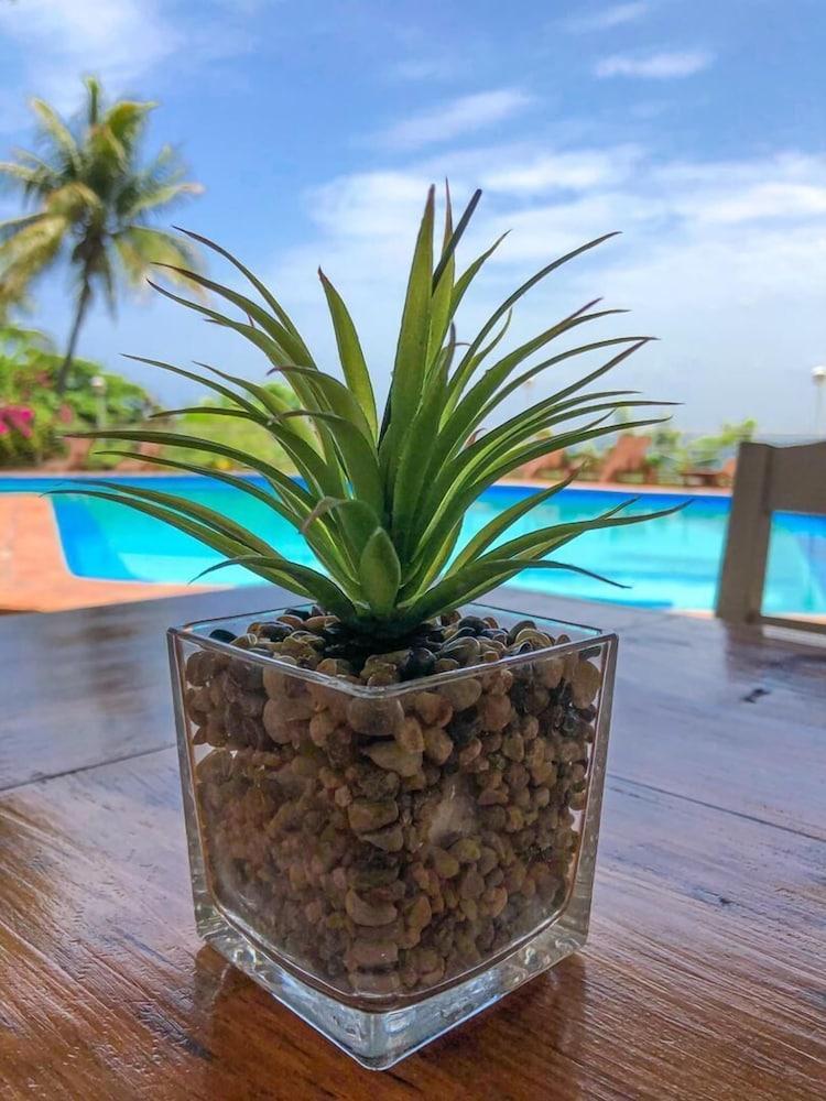 Hotel Mont Joli Cap-Haitien