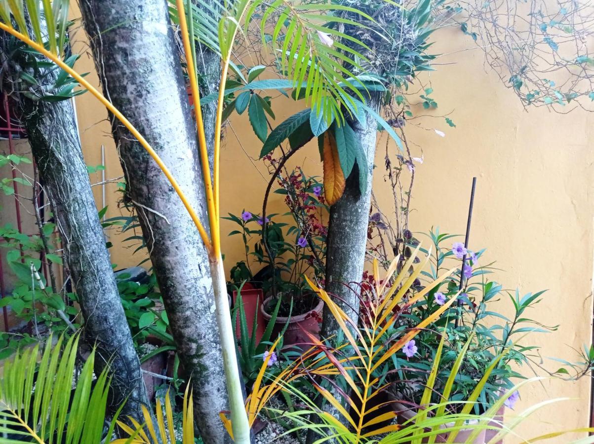 Casa Coco Boca Chica