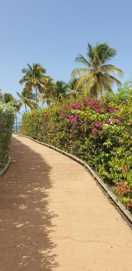 Gwada Vue * Le Gosier (Grande-Terre)